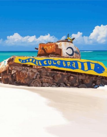 Flamenco Beach Puerto Rico Paint By Numbers