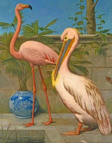 Flamingo and Pelican Animals Paint By Numbers