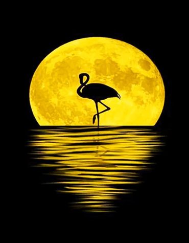 Flamingo Silhouette at Moonlight Paint By Numbers