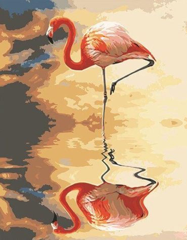 Flamingo Reflection Paint By Numbers