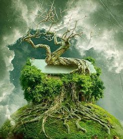 Overgrown Tree Landscape Paint By Numbers