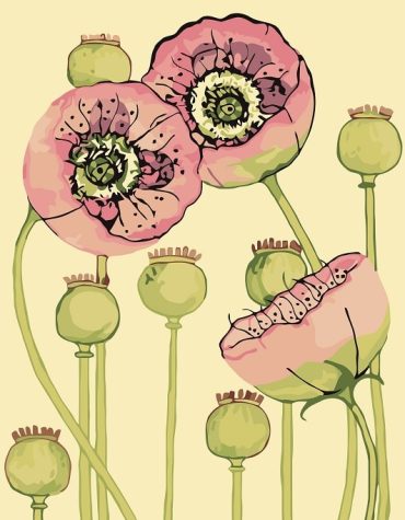 Flowers and Nature Paint By Numbers