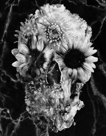 Floral Skull Artwork Paint By Numbers