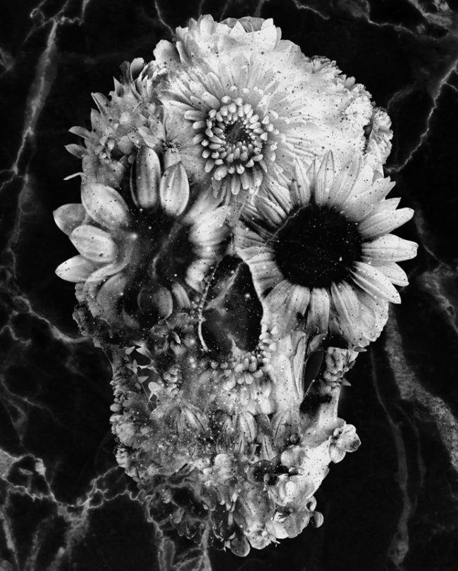 Floral Skull Artwork Paint By Numbers