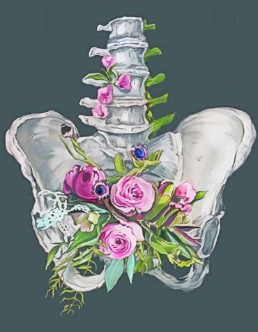 Floral Anatomy Blossom Paint By Numbers