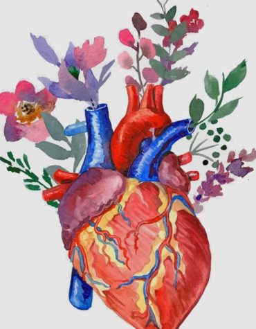 Floral Heart Paint By Numbers