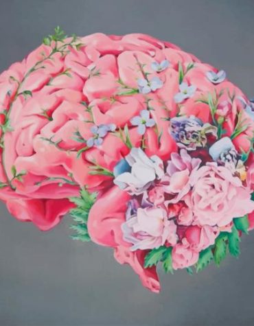 Floral Human Brain Paint By Numbers
