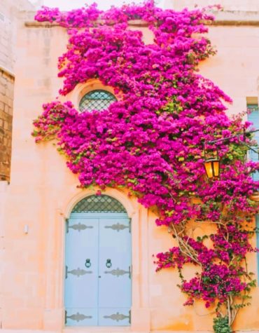 Blue Door Medina Paint By Numbers