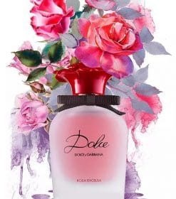 Floribunda Roses Paint By Numbers