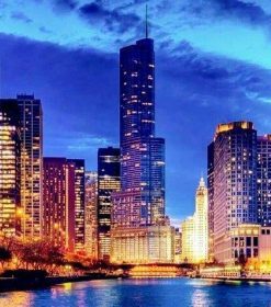 Tampa Nightscape Florida Paint By Numbers