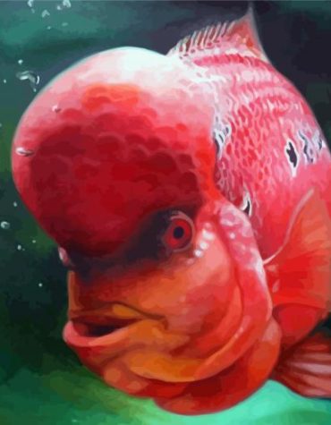 Colorful Flowerhorn Fish Paint By Numbers