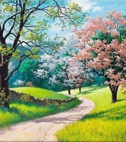 Spring Bloom Scenery Landscape Paint By Numbers