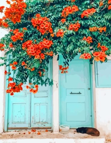 Blue Doors and Flowers Paint By Numbers