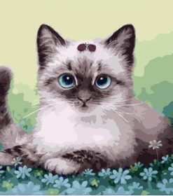 Fluffy Kitten Aesthetic Paint By Numbers