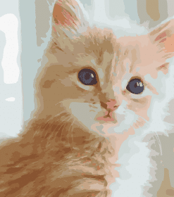 Fluffy Tabby Cat Paint By Numbers