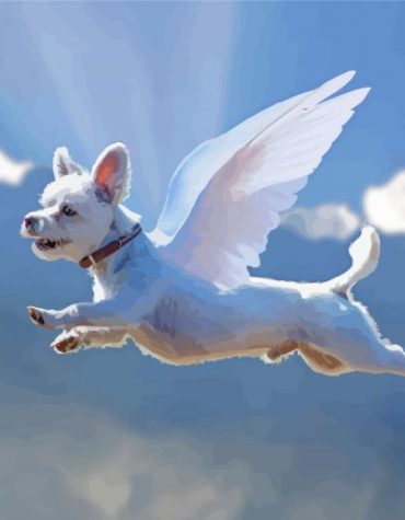 Dog Angel Fantasy Paint By Numbers