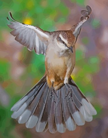 Graceful Northern Mockingbird Paint By Numbers