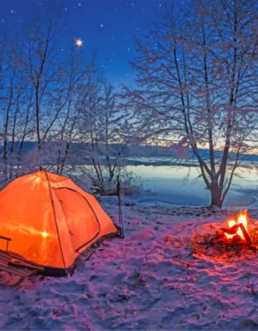 Forest Landscape Adventure Paint By Numbers