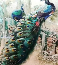 Majestic Peacock in Forest Paint By Numbers