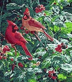Red Birds in Forest Paint By Numbers
