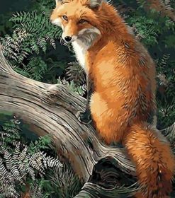 Majestic Fox Paint By Numbers