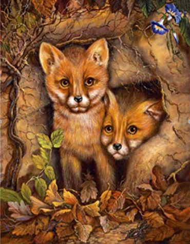 Fox Cubs Wildlife Paint By Numbers