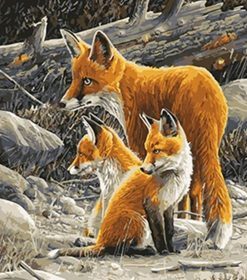Charming Fox Family Paint By Numbers