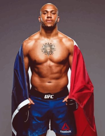 Ciryl Gane French Icon Paint By Numbers