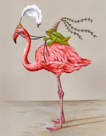 Frog and Flamingo Wildlife Paint By Numbers