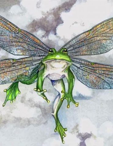 Frog With Wings Fantasy Paint By Numbers