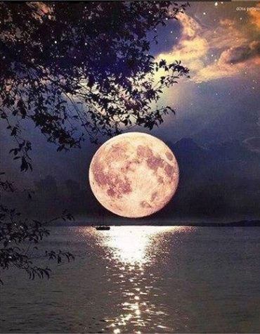 Moonlit Lake Scene Paint By Numbers