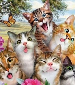 Funny Cat Adventures Paint By Numbers