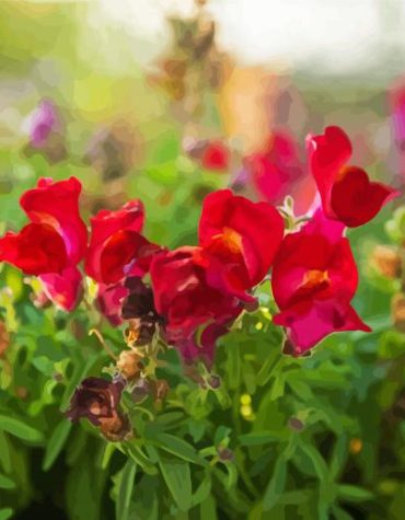 Pink Fuchsia Snapdragons Paint By Numbers