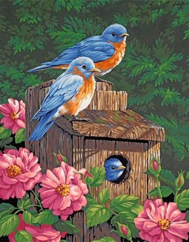 Bluebird Boxes Gardens Paint By Numbers