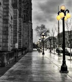 Geneva Streets Paint By Numbers