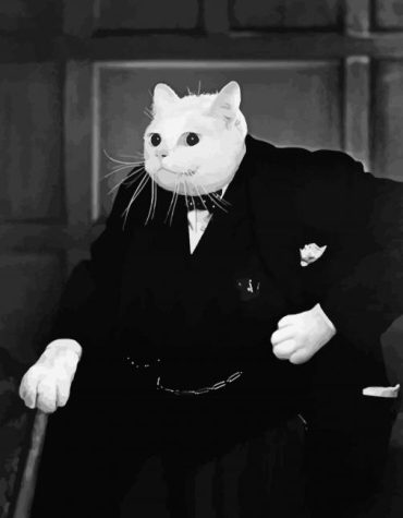 Gentleman Cat Black And White Paint By Numbers