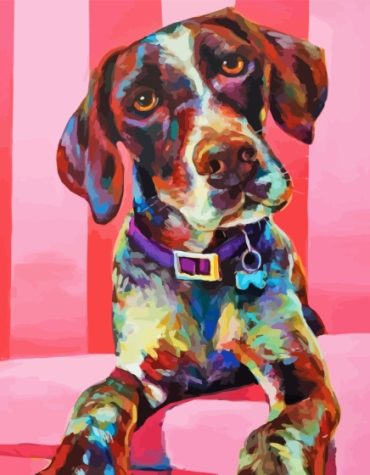 Germanshort Haired Pointer Puppy Paint By Numbers