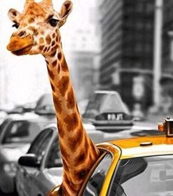 Giraffe in a Taxi Paint By Numbers