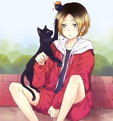 Adorable Cat and Girl Paint By Numbers