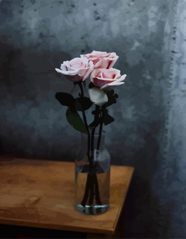 Baby Pink Rose Flower Paint By Numbers