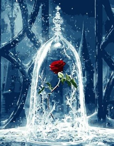 Red Rose Flowers Paint By Numbers