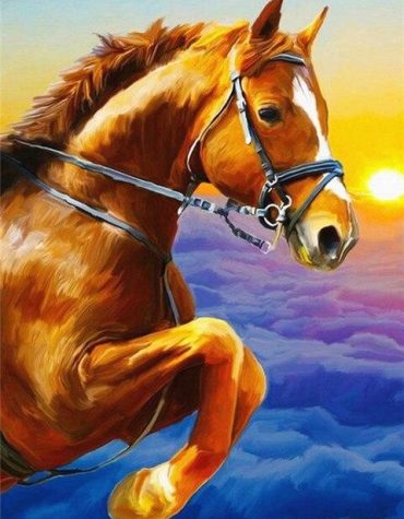 Golden Horse Grace Above Clouds Paint By Numbers