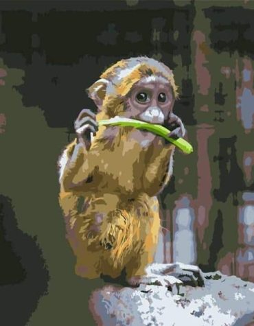 Golden Monkey Mammals Paint By Numbers