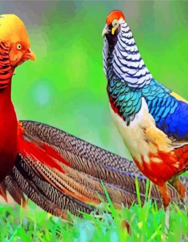 Golden Pheasant Wildlife Paint By Numbers