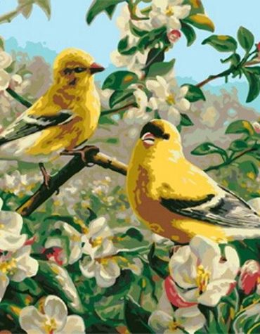 American Goldfinch Nature Paint By Numbers