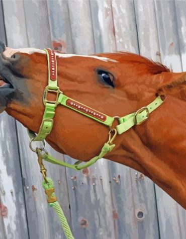 Goofy Horse Delight Paint By Numbers