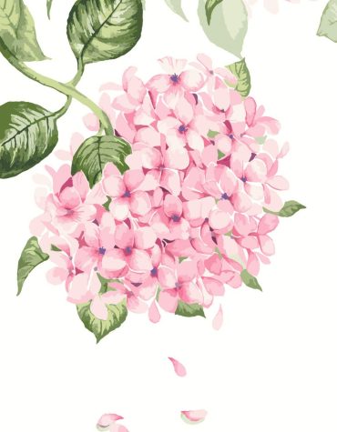 Gorgeous Pink Flowers Paint By Numbers