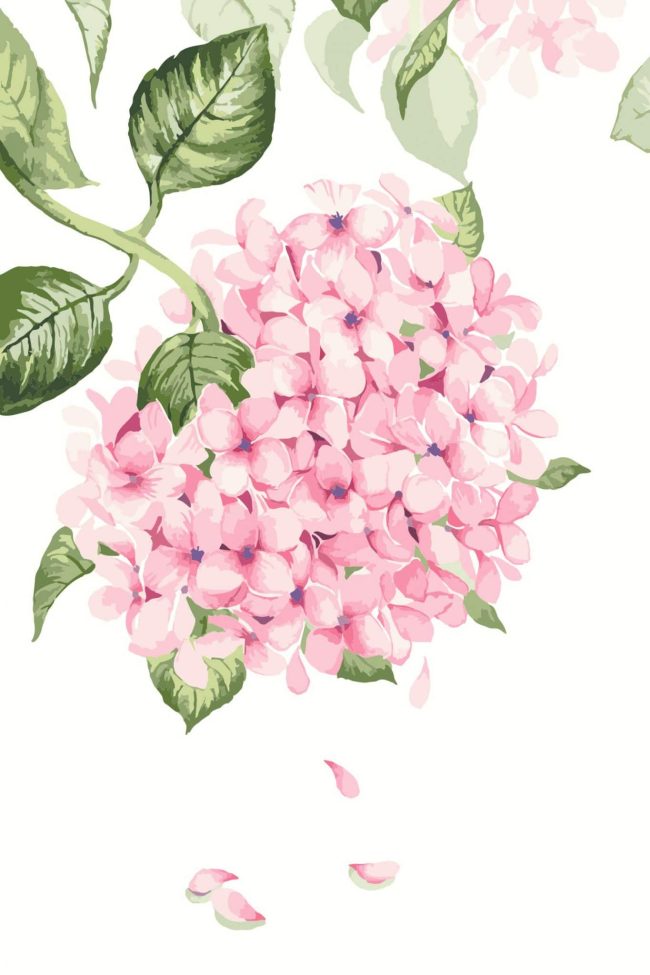 Gorgeous Pink Flowers Paint By Numbers