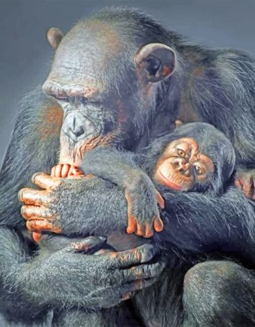 Majestic Gorilla Aesthetic Paint By Numbers