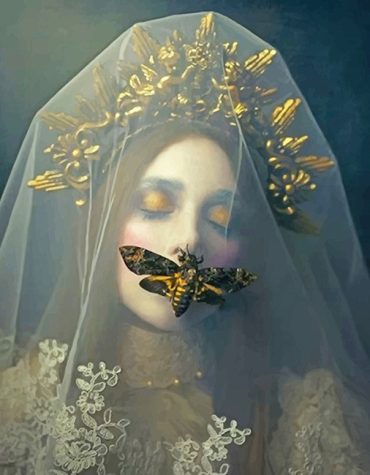 Gothic Beauty Butterfly Paint By Numbers